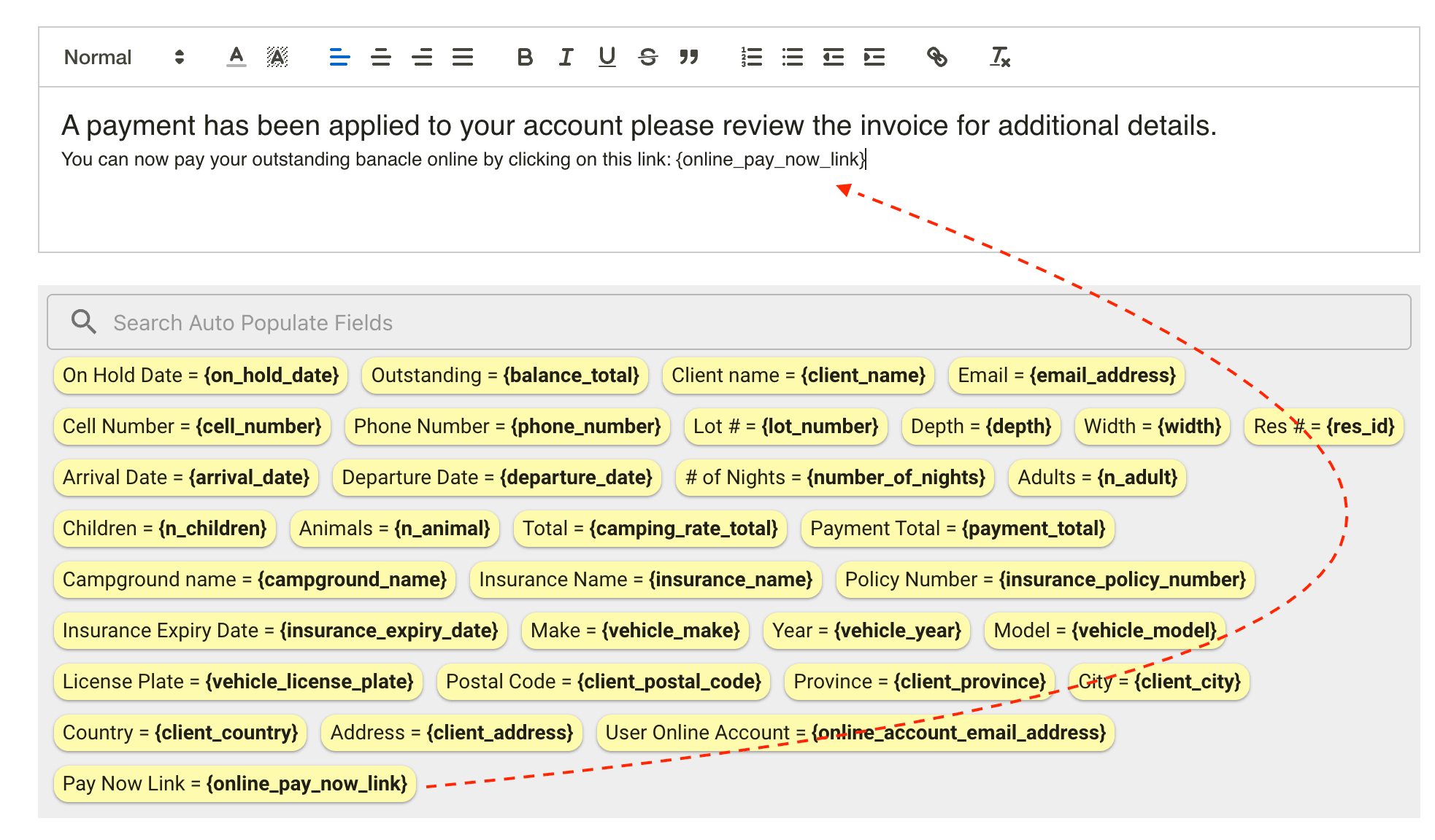 Pay Now link string in email template